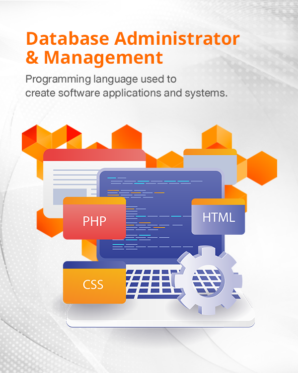 Database Administrator & Management